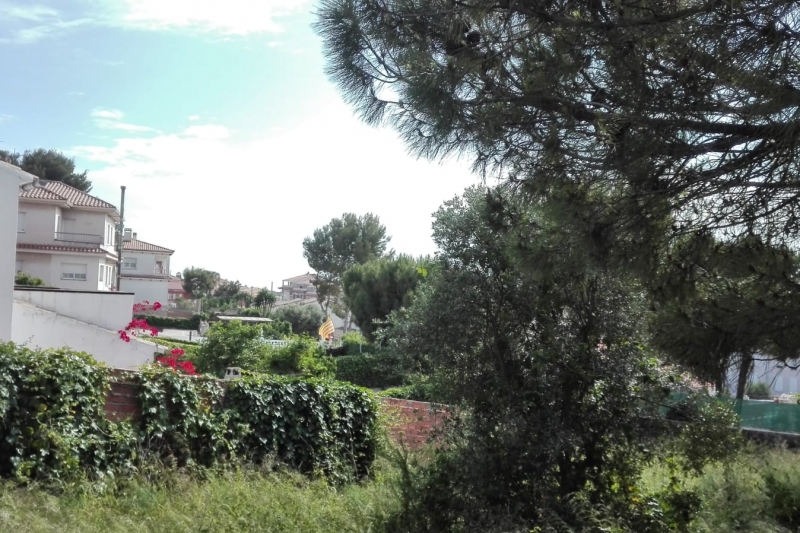 TERRENO