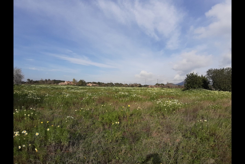 IMG-20190207-WA0011