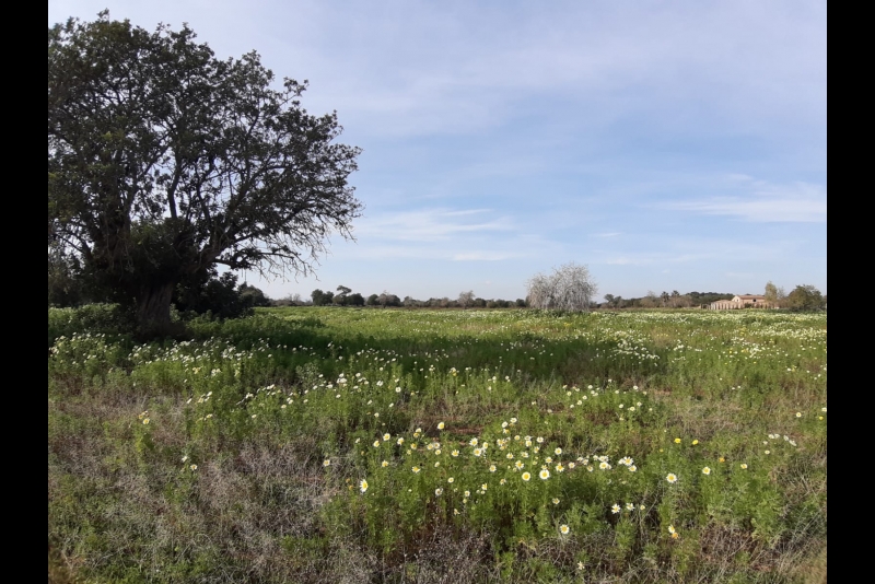 IMG-20190207-WA0012