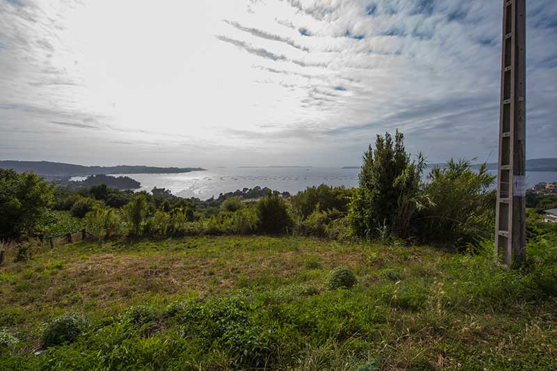 finca2