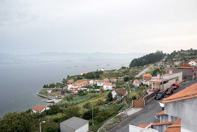1vistas2raxo