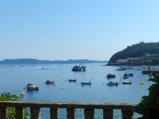 3vistas