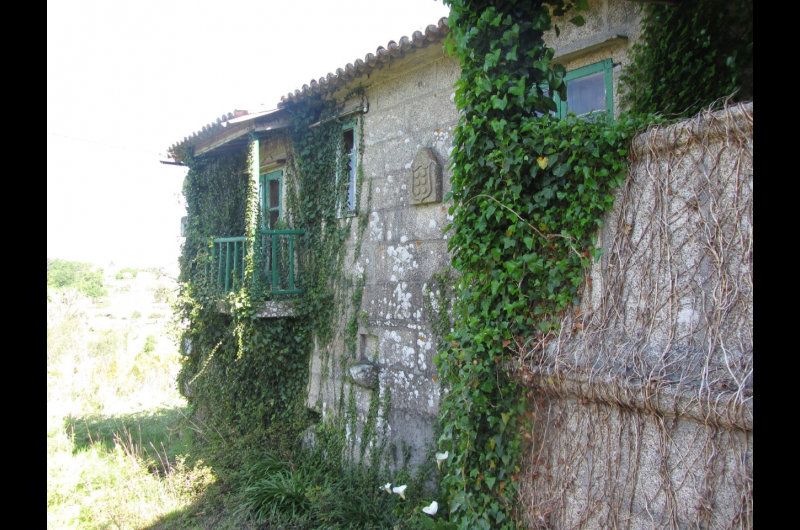 casa3