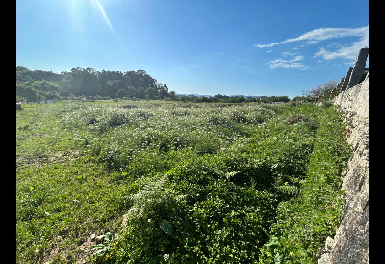 foto1