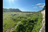 Ref..549, Finca de 20.000 m2, situada en Ameal, Marín, buena cominicac