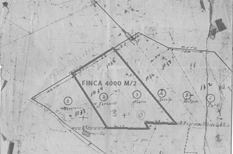 plano