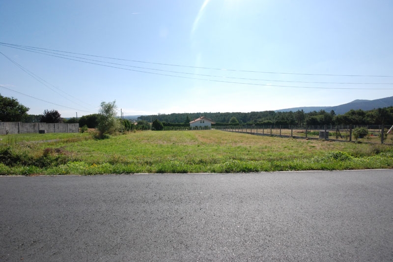 finca brion