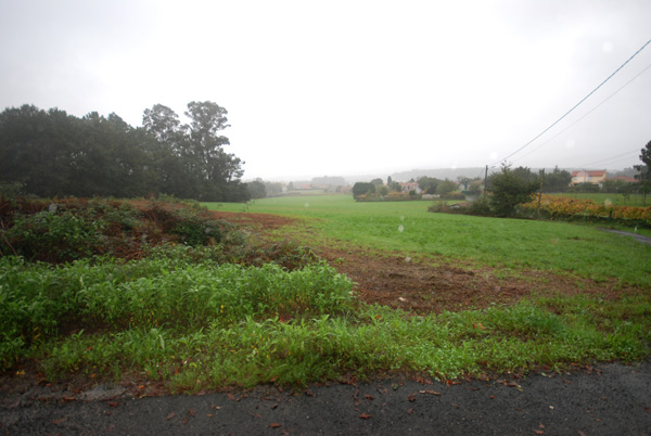 finca brion