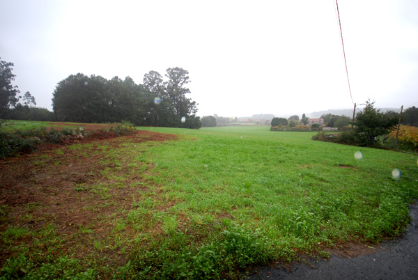 finca brion coruxido